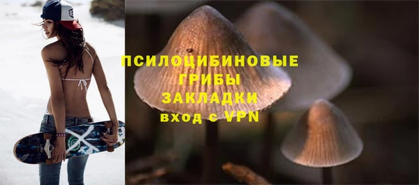 бошки Новозыбков