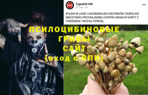 гидра Аркадак
