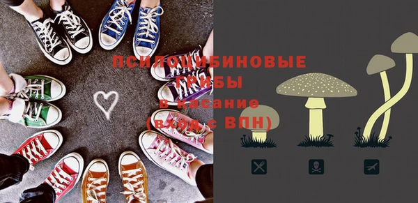 бошки Новозыбков