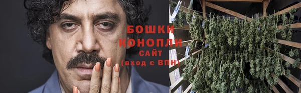 крисы Армянск